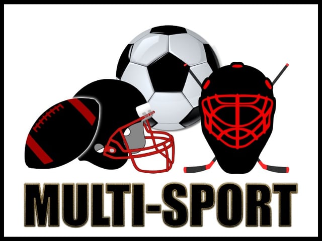 Multisports
